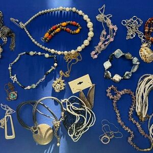 Jewelry Bundle of Over 20 Necklaces